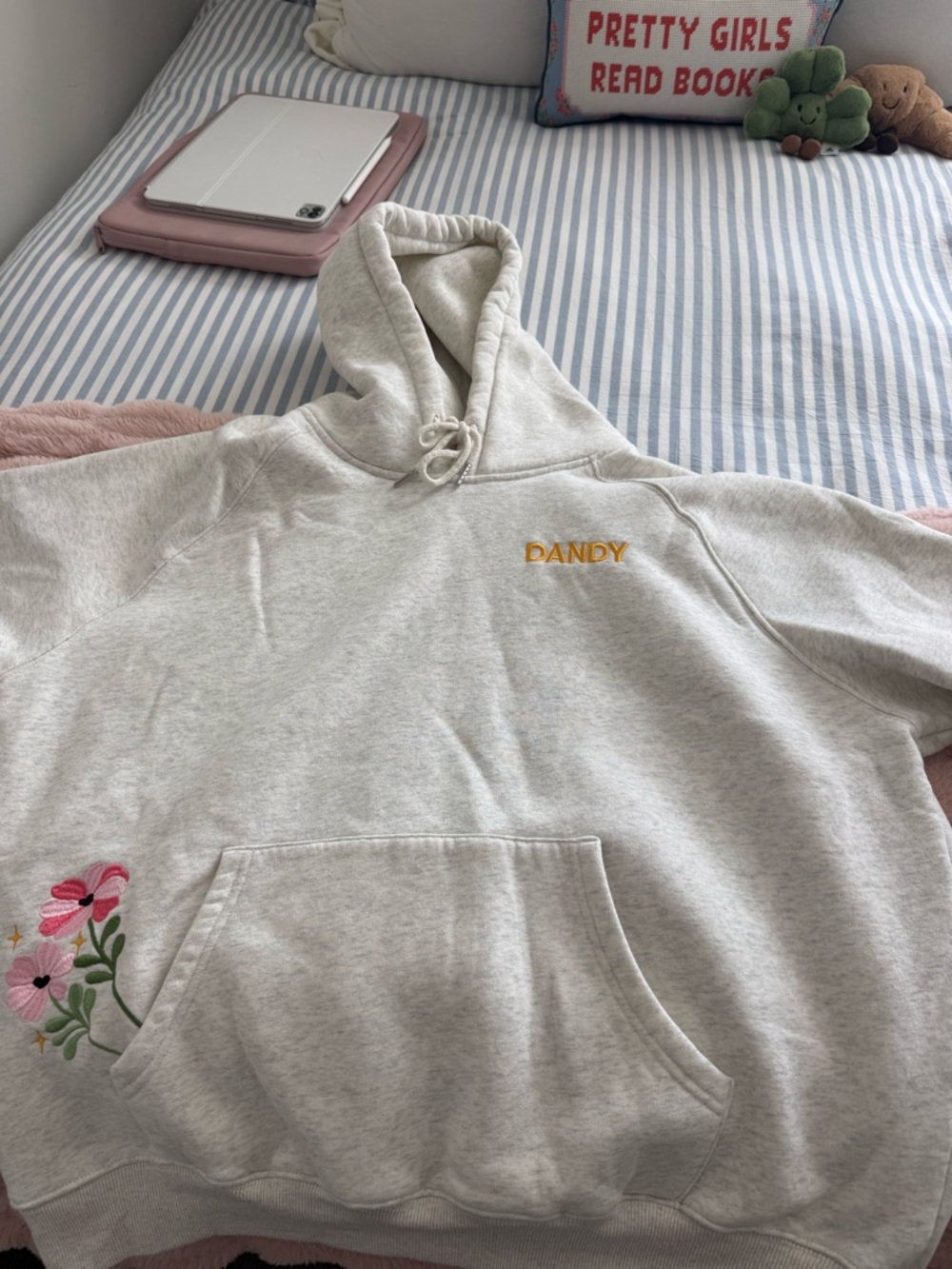DANDY Embroidered Light Gray Hoodie Gift Giving